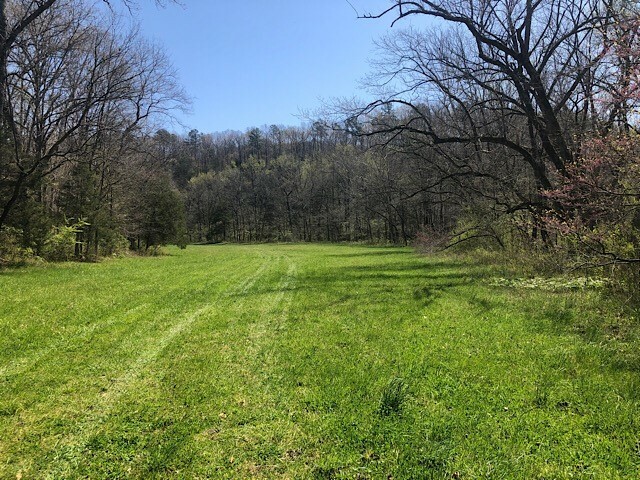 0 Happy Hollow Road  Mountain View AR 72560 photo