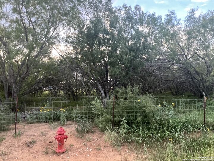 Property Photo: 10477 Briggs TX 78002