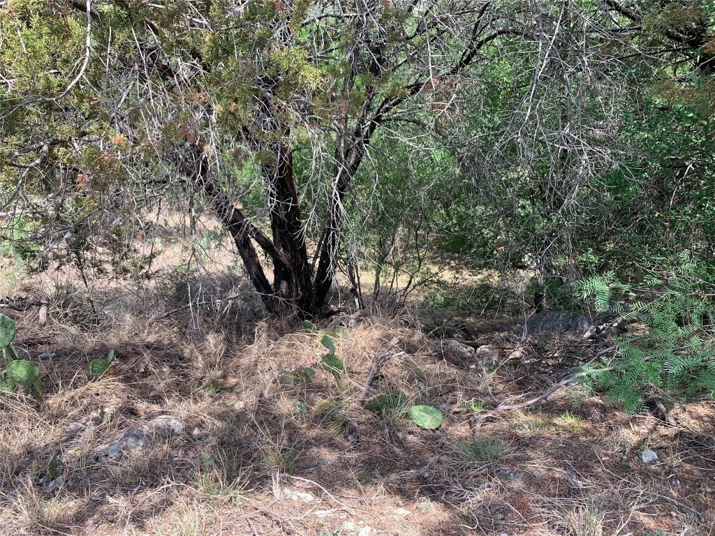 Property Photo:  700 Fallow  TX 78657 