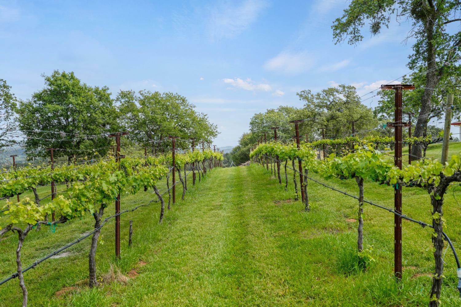 Property Photo: 5070 Garden Bar Road CA 95648