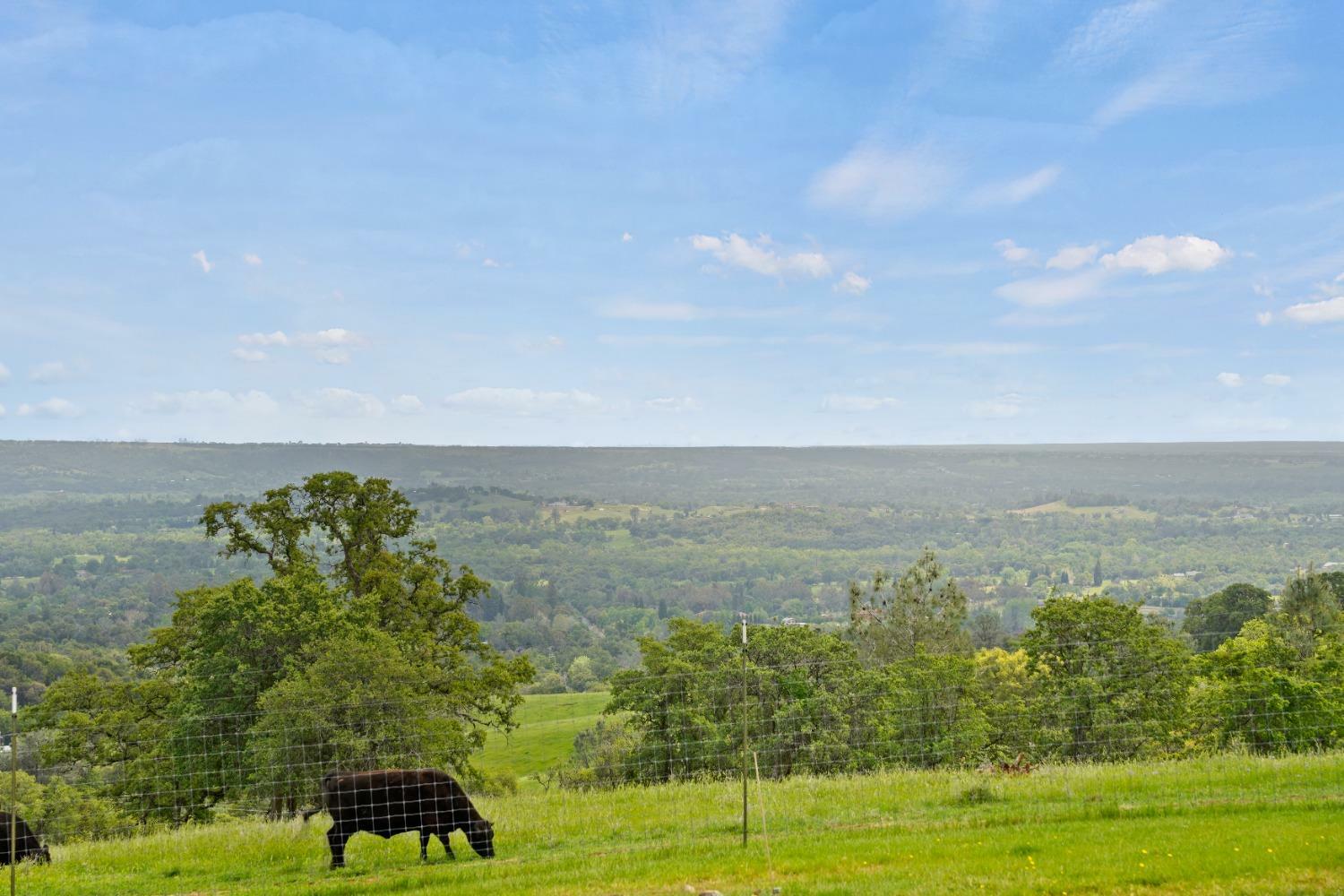 Property Photo: 5070 Garden Bar Road CA 95648