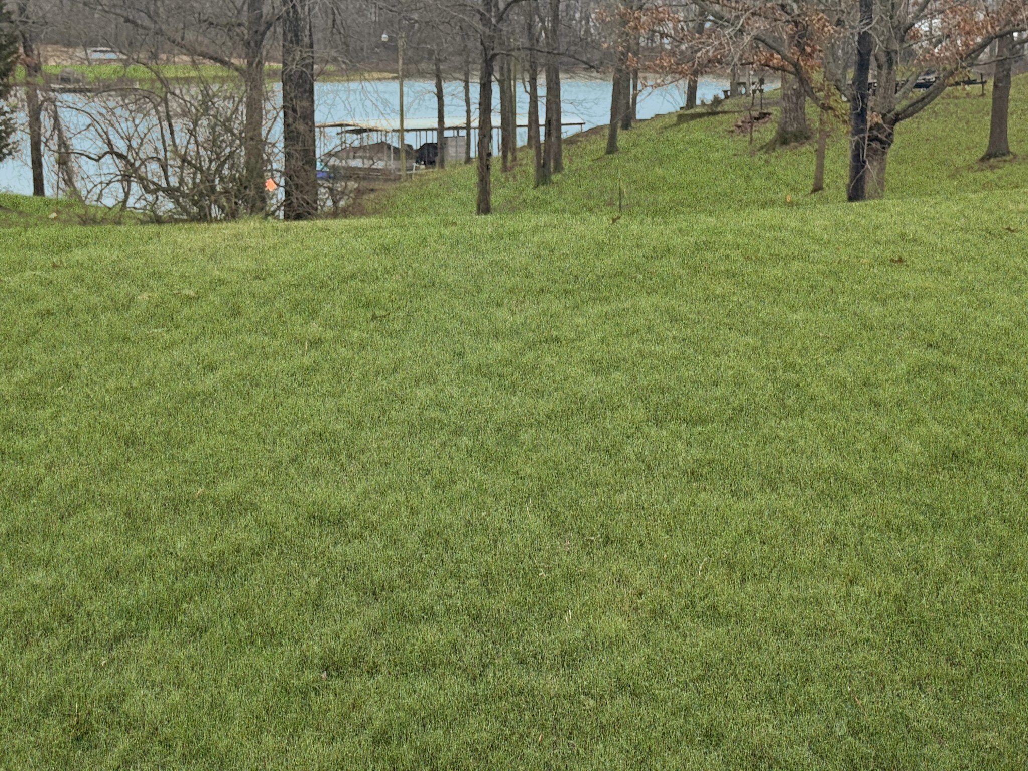 Property Photo: 0 Eva Harbor Rd TN 38333