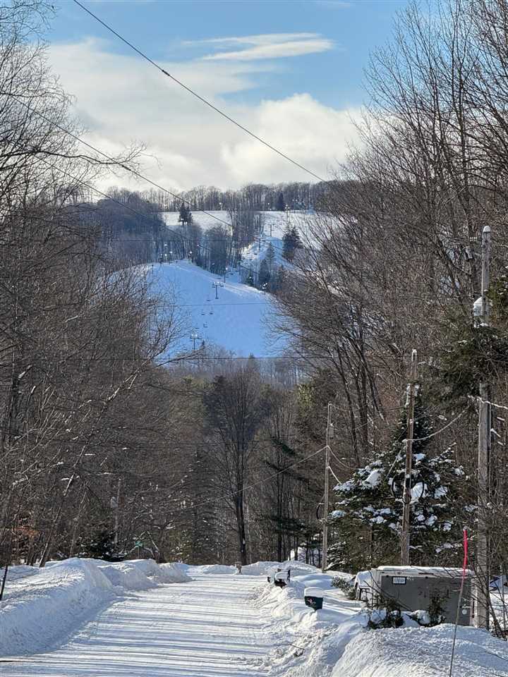 Property Photo: 226 Wild Cherry MI 49740