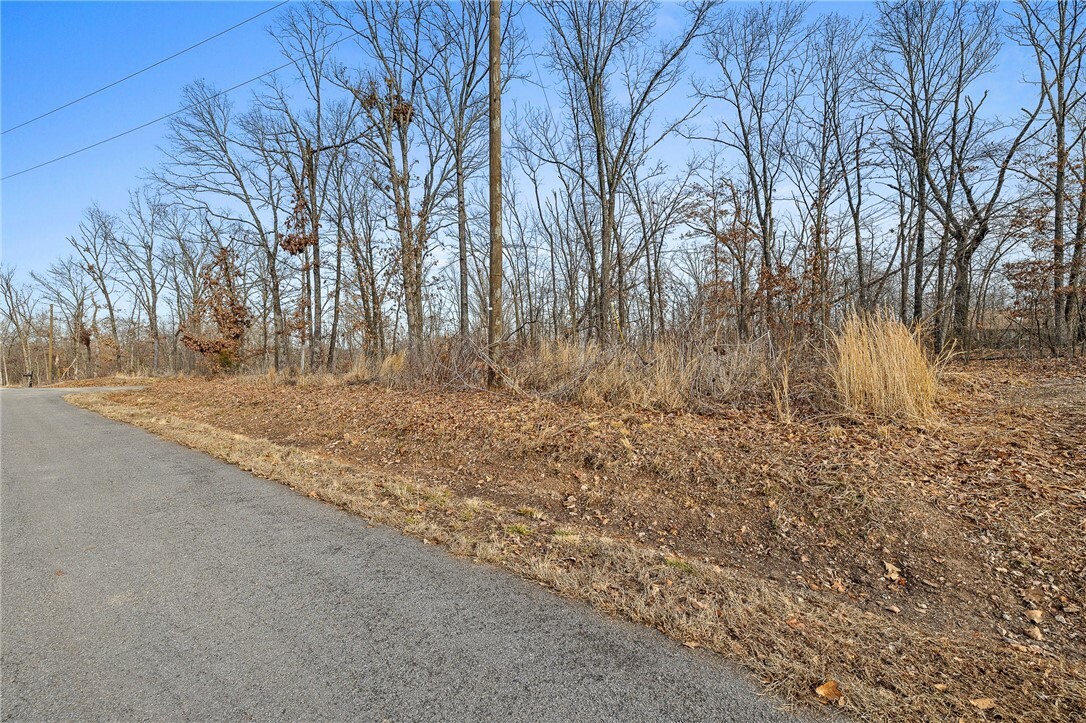 Property Photo:  Lot 4, Block 6 Whithorn Lane  AR 72715 