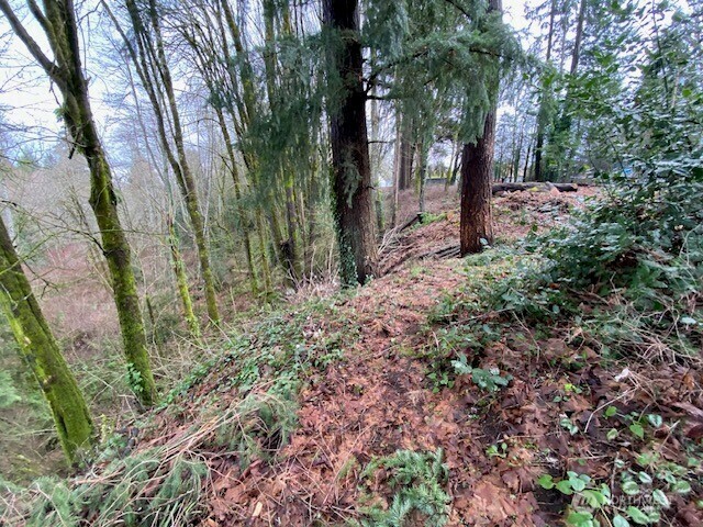 Property Photo: 132 & 129 Linda Street SE WA 98501