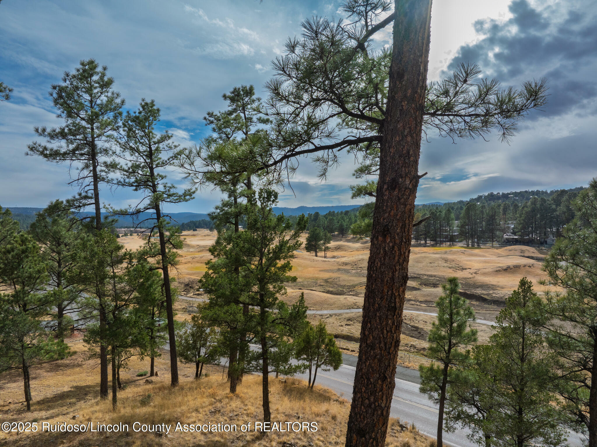 Property Photo: 604 White Mountain #806 NM 88345