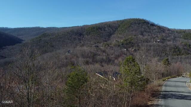 Property Photo:  Lot 113 Summit Trails Drive  TN 37862 