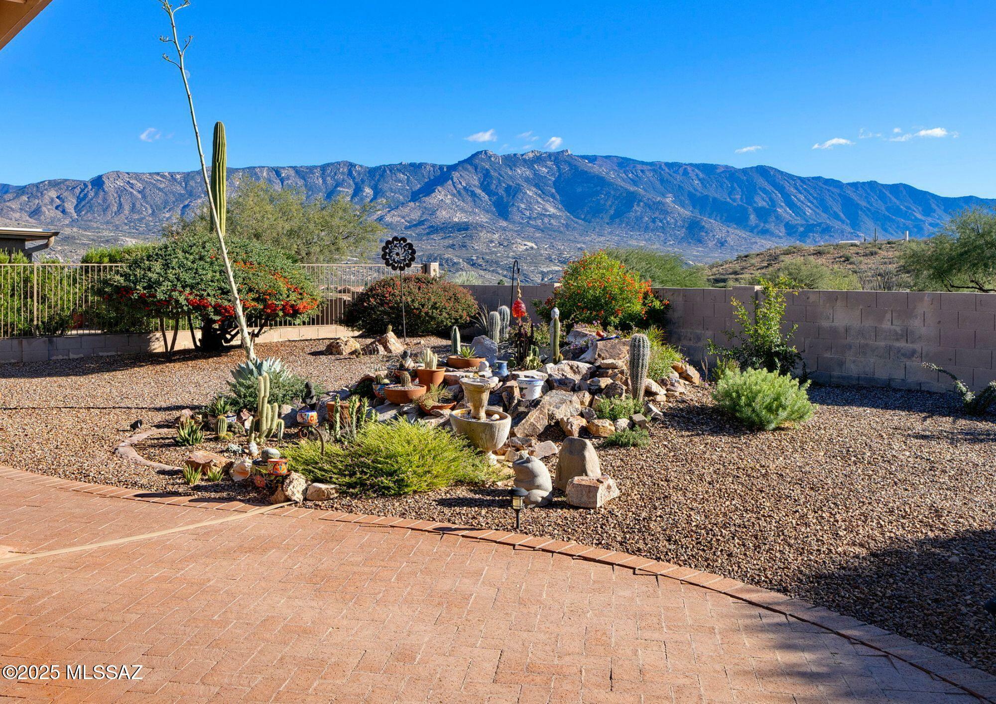 Property Photo:  63429 E Cat Claw Lane  AZ 85739 