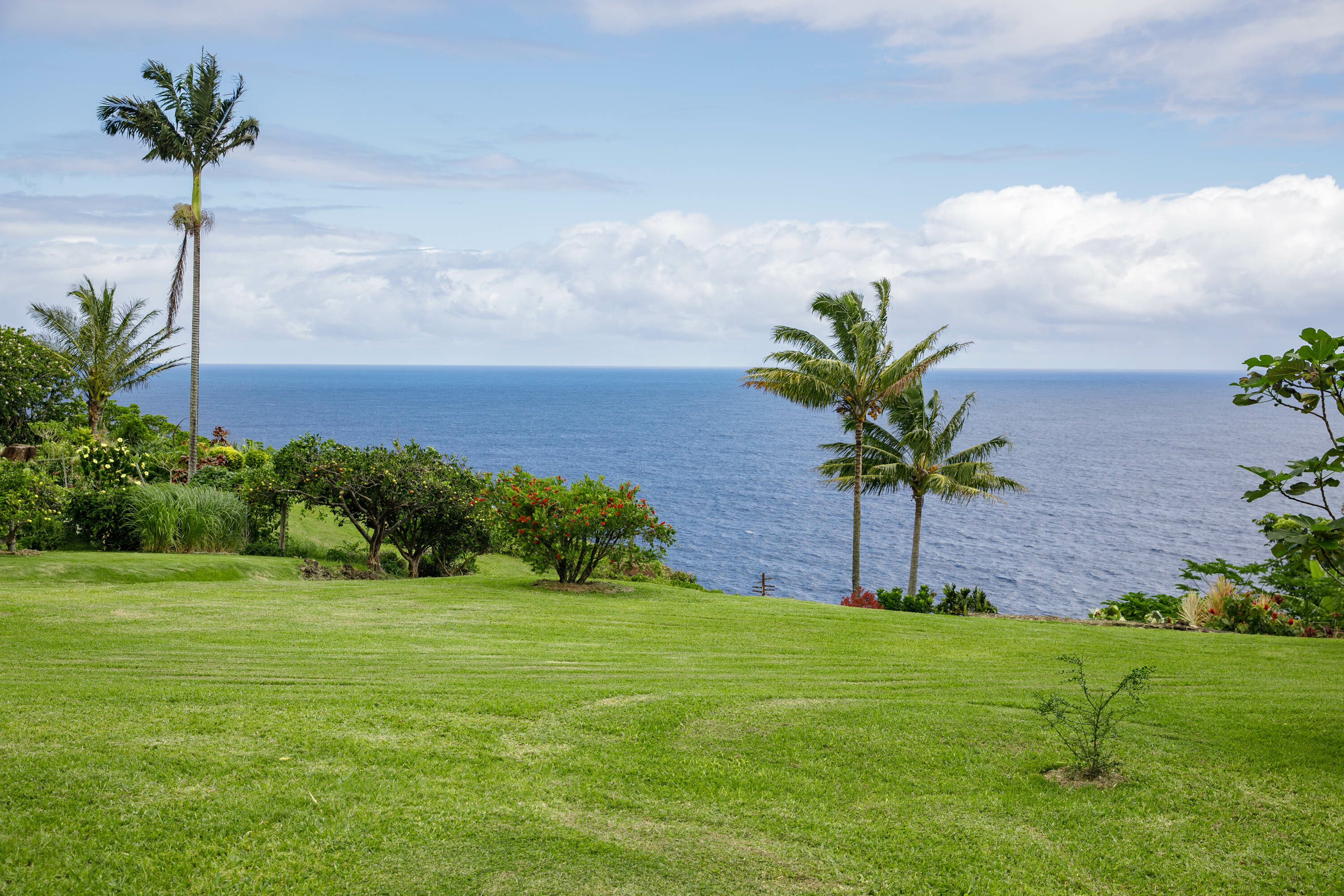 Property Photo: 35-2064 Hulaana Pl HI 96764
