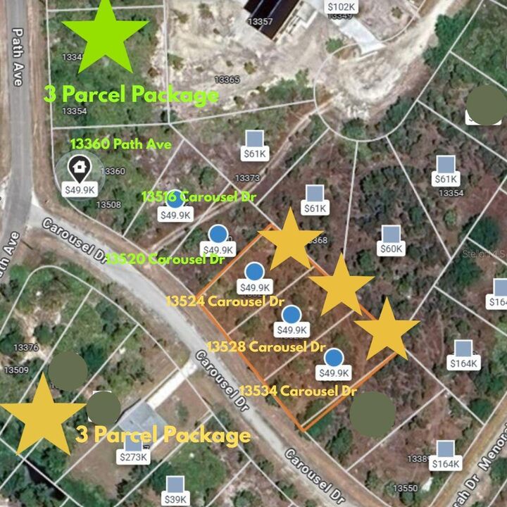 Property Photo:  13520 Carousel Drive  FL 33955 