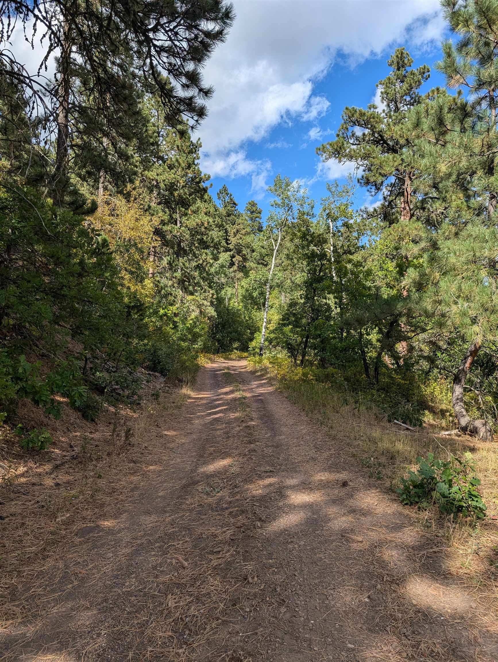 Tbd Nevada Gulch Road  Lead SD 57754 photo