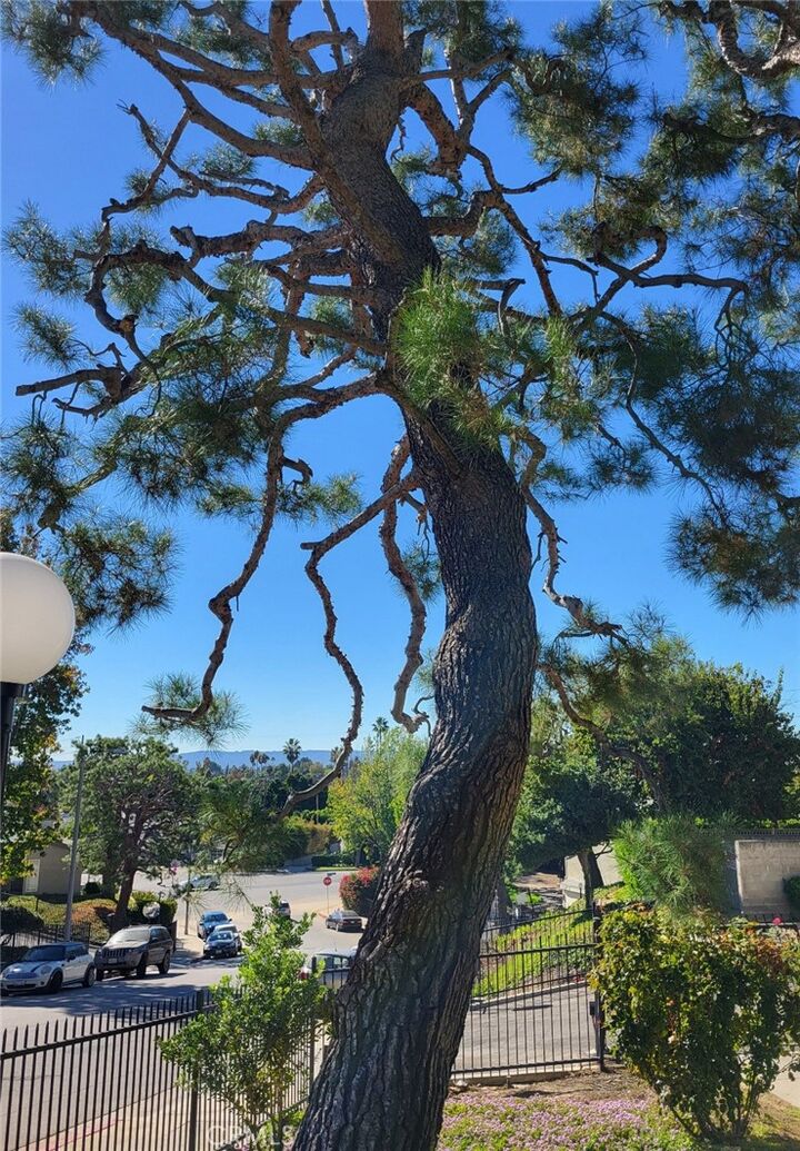 Property Photo: 15775 Midwood Drive 3 CA 91344