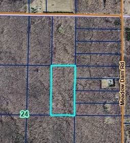 20 Acres Near Meadow Dam Rd  Bruce WI 54819 photo