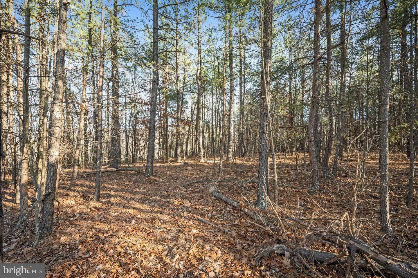 Property Photo:  Lot 6 Back Creek Rd  VA 22637 