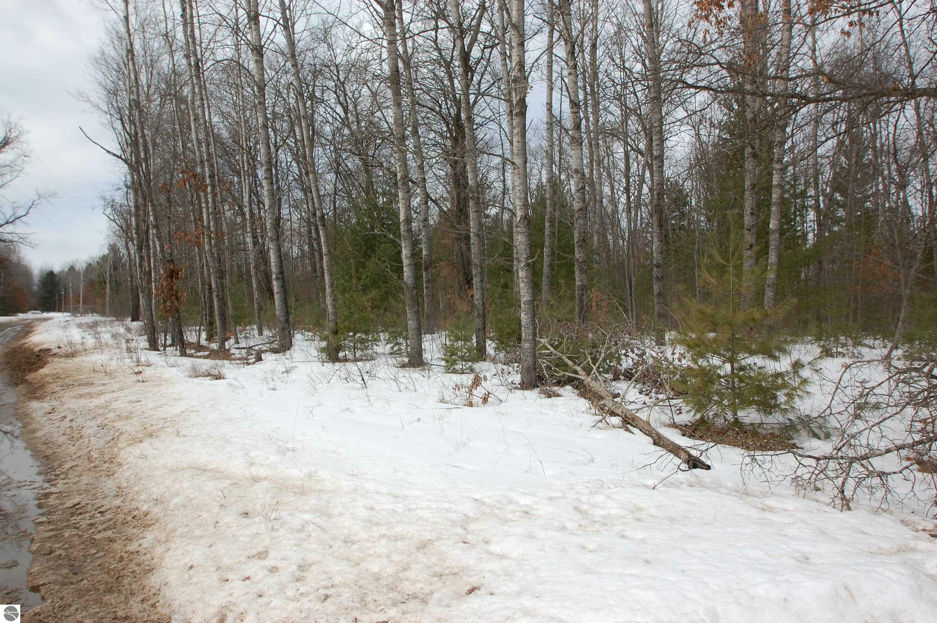 Property Photo:  Lot 49 Merilyn Lane  MI 48610 