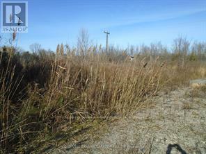 Property Photo: 3-49 North Rideau Avenue North ON K7A 4W1