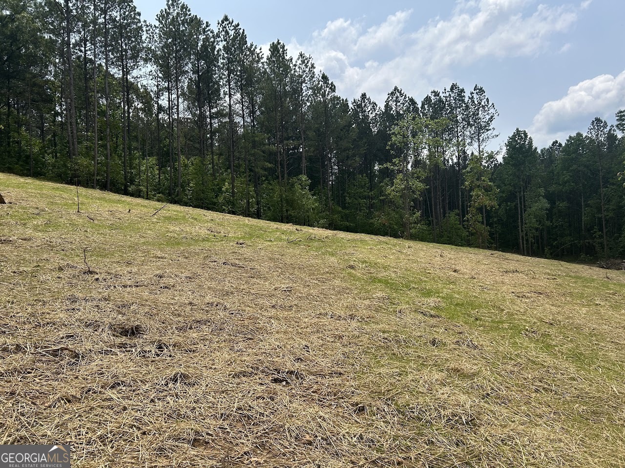 Property Photo: 250 Riversong Road GA 30117