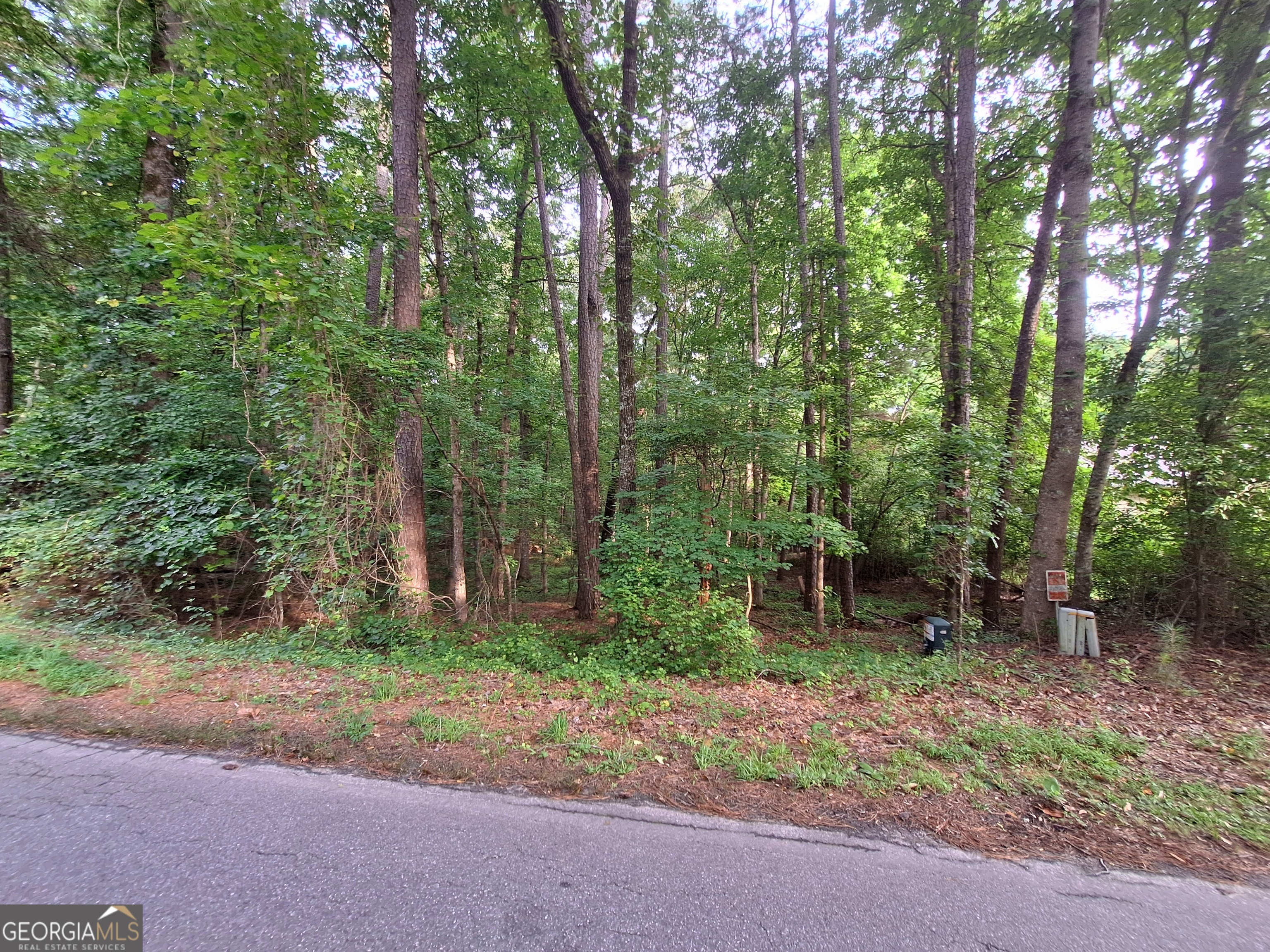 Property Photo: Lot 20 Cardinal Drive GA 31064