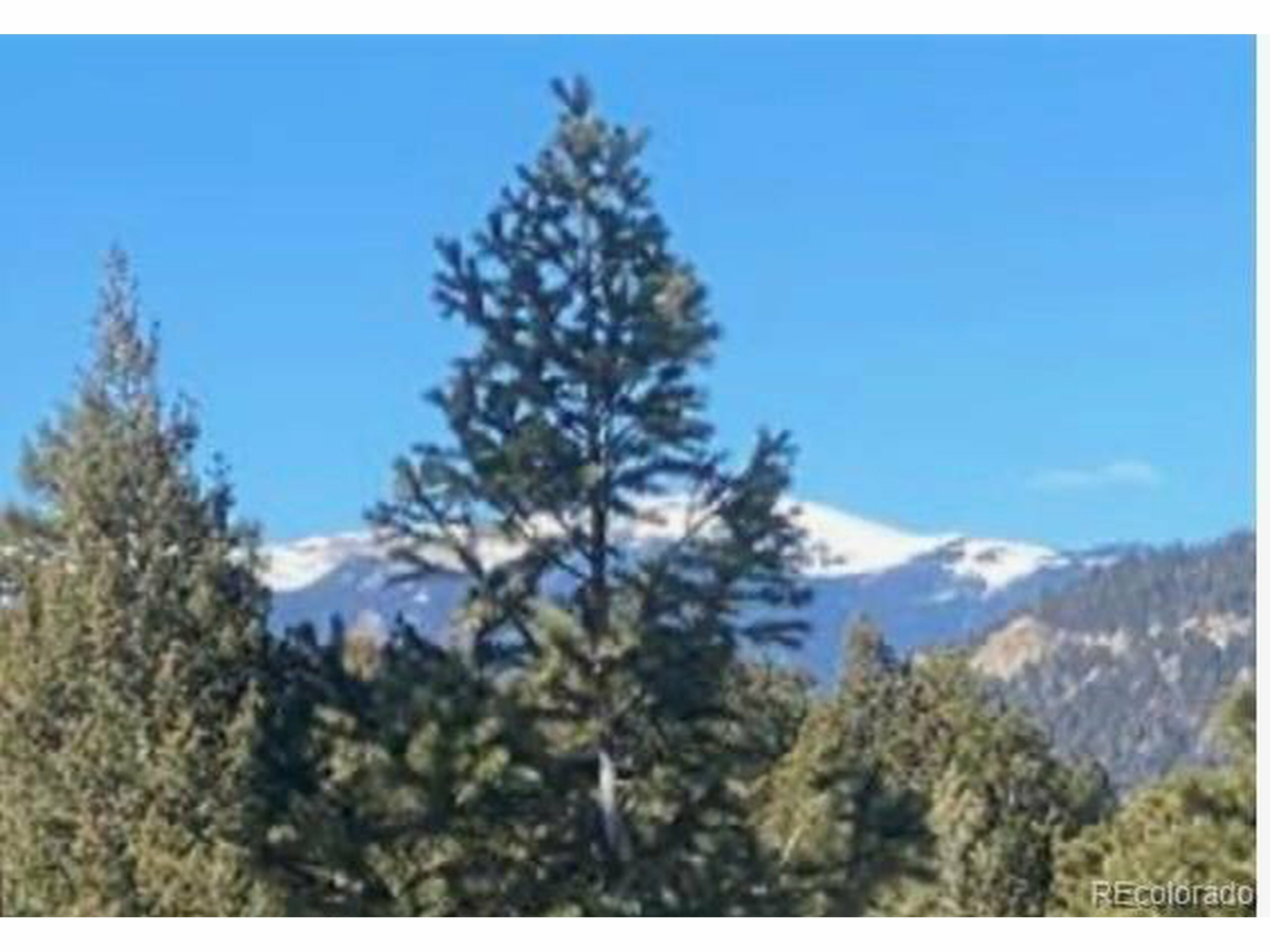 33884 Bergen View Trl  Evergreen CO 80439 photo