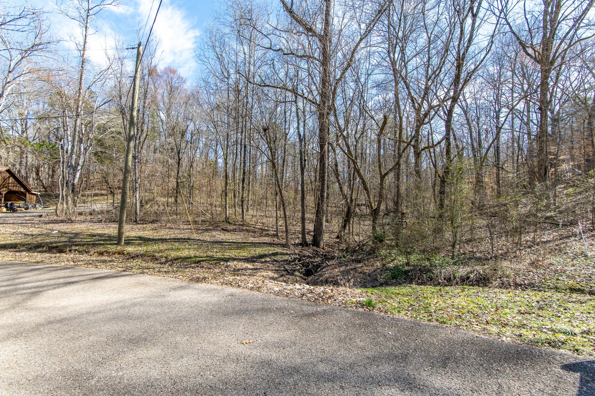 Property Photo:  0 Salt Ln  TN 38372 