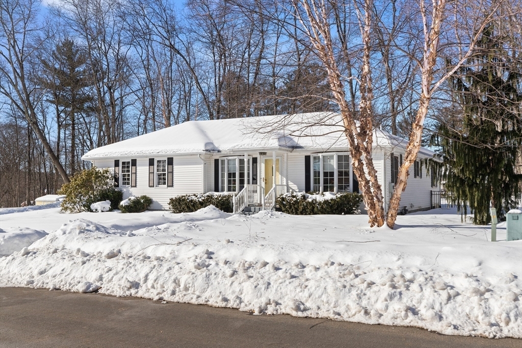 Property Photo:  8 Silver Birch Lane  MA 01832 