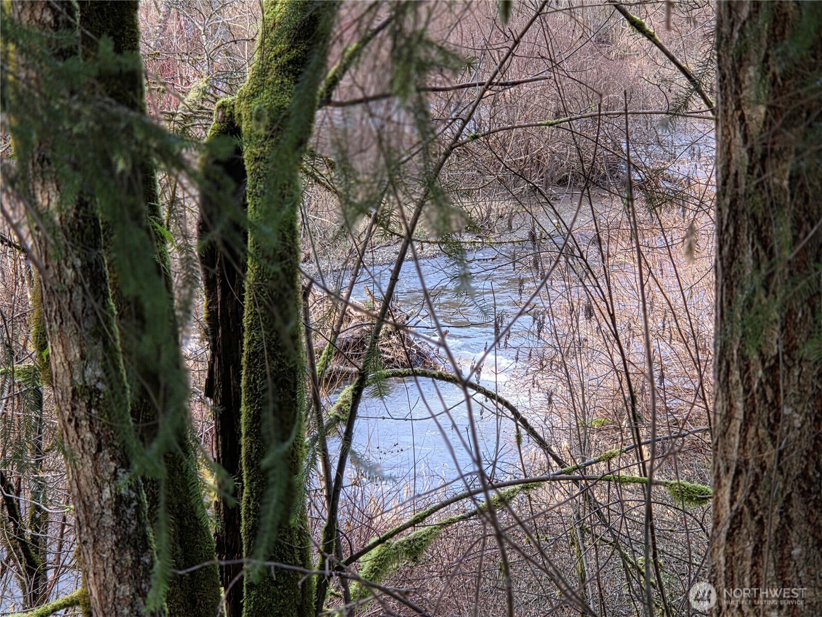 Property Photo: 8021 SW Treasure River Trail WA 98512