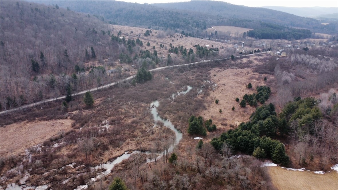 Property Photo: Prospect Valley Road NY 13864