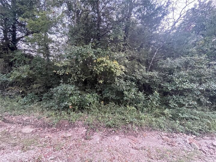 Property Photo:  Lot 41 Canary Lane  AR 72630 
