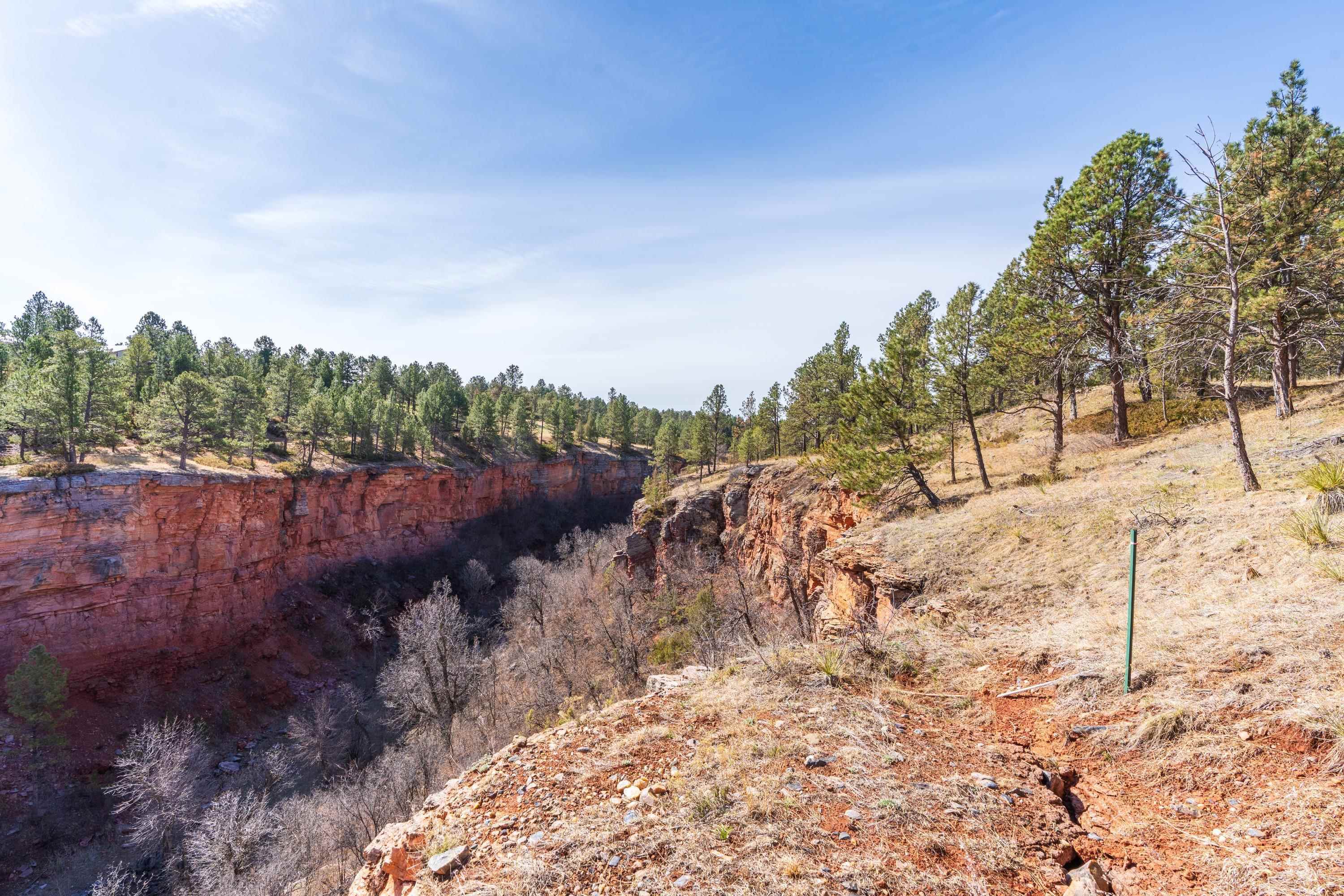 Property Photo: Parcel 5 Saddle Ridge Road SD 57744
