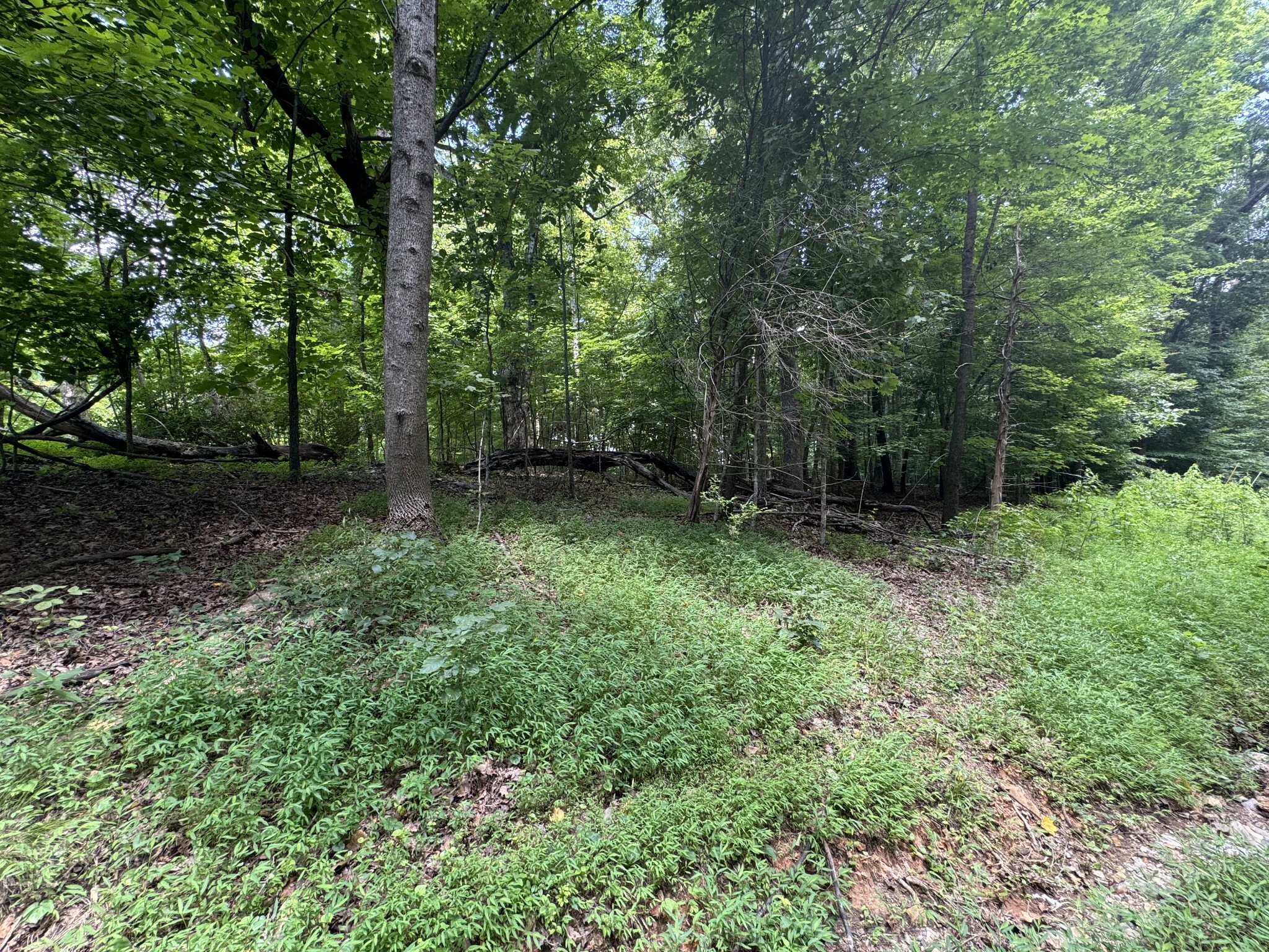 Property Photo:  0 Old Stage Rd  TN 37055 