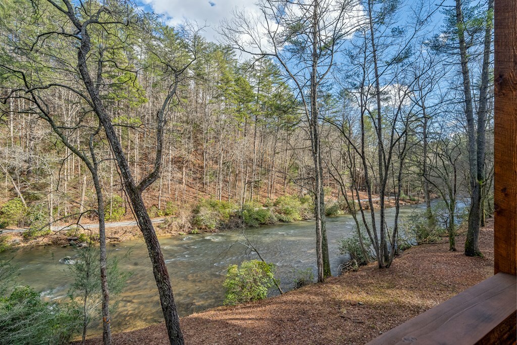 Property Photo: 212 Fish Tale Cove GA 30540