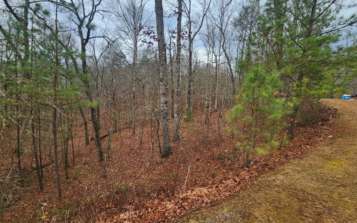 Property Photo: Lot 9 Harris Creek Drive GA 30540