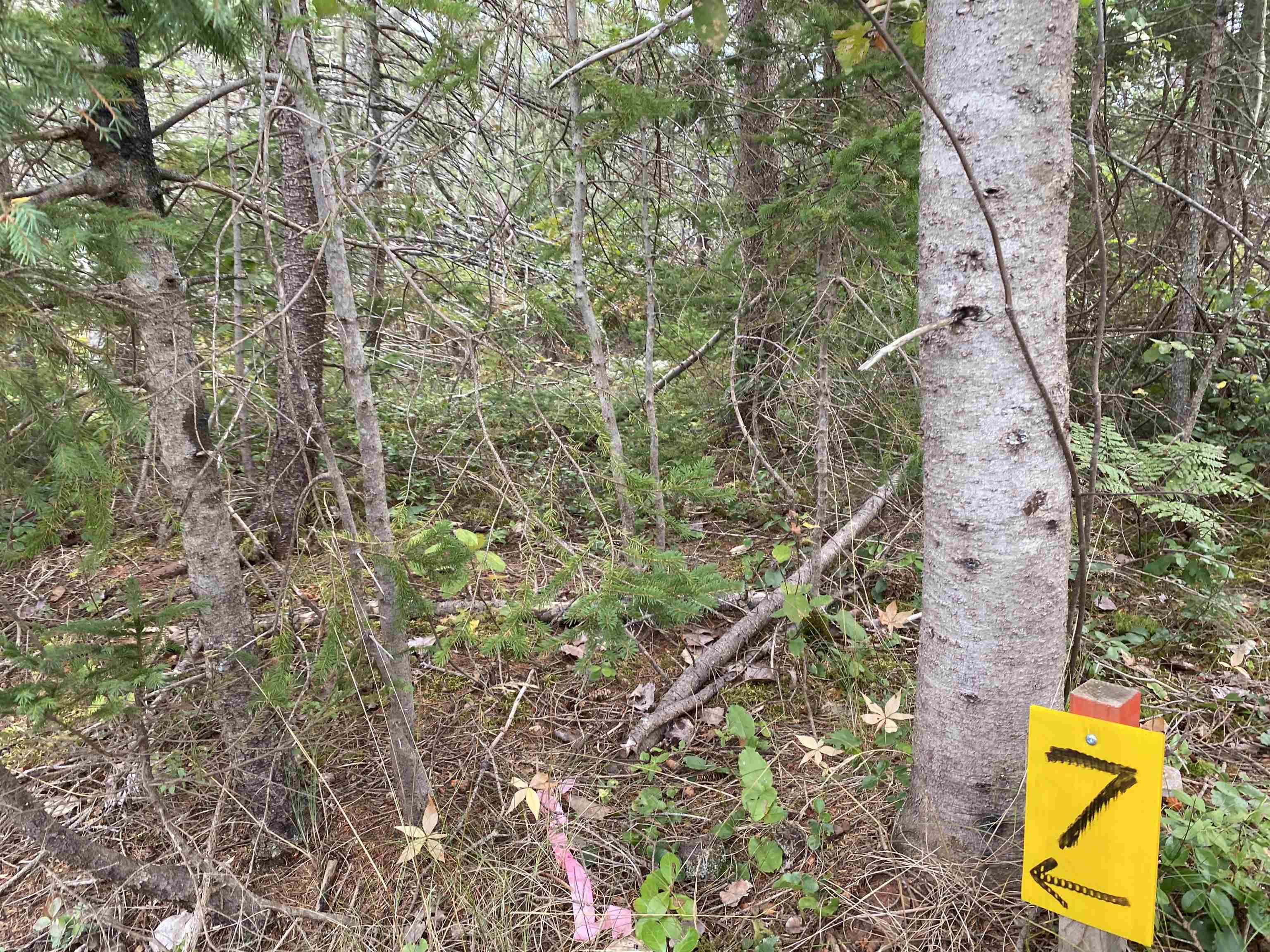 Photo de la propriété: Lot 7 Floating Bridge Road PE C0A 1W0