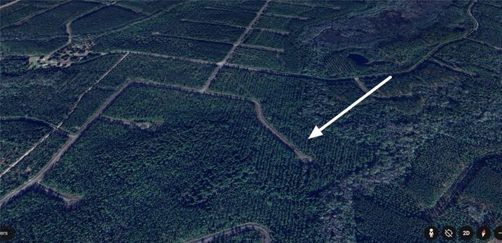 Property Photo: 9 Satilla Plantation Drive GA 31566