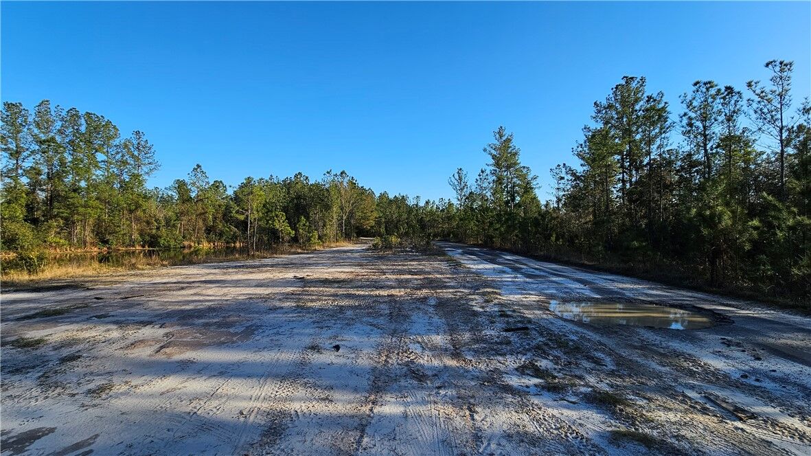 Property Photo: 42 Satilla Plantation Drive GA 31566