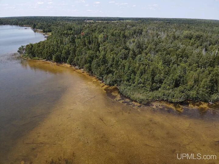 Property Photo:  Tbd W N Gulliver Lake Road  MI 49840 