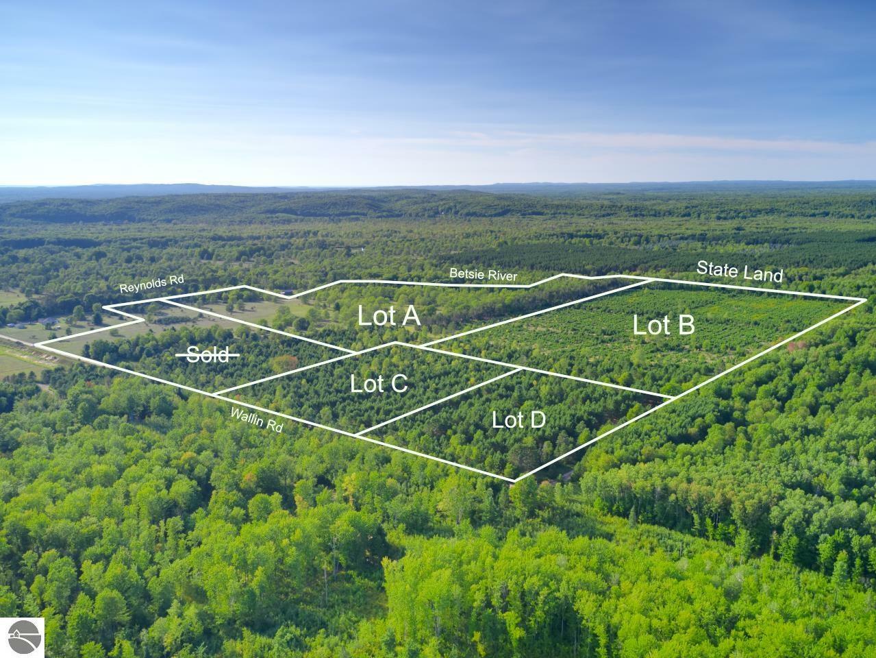 Property Photo: 15 Acres D Wallin Road MI 49683
