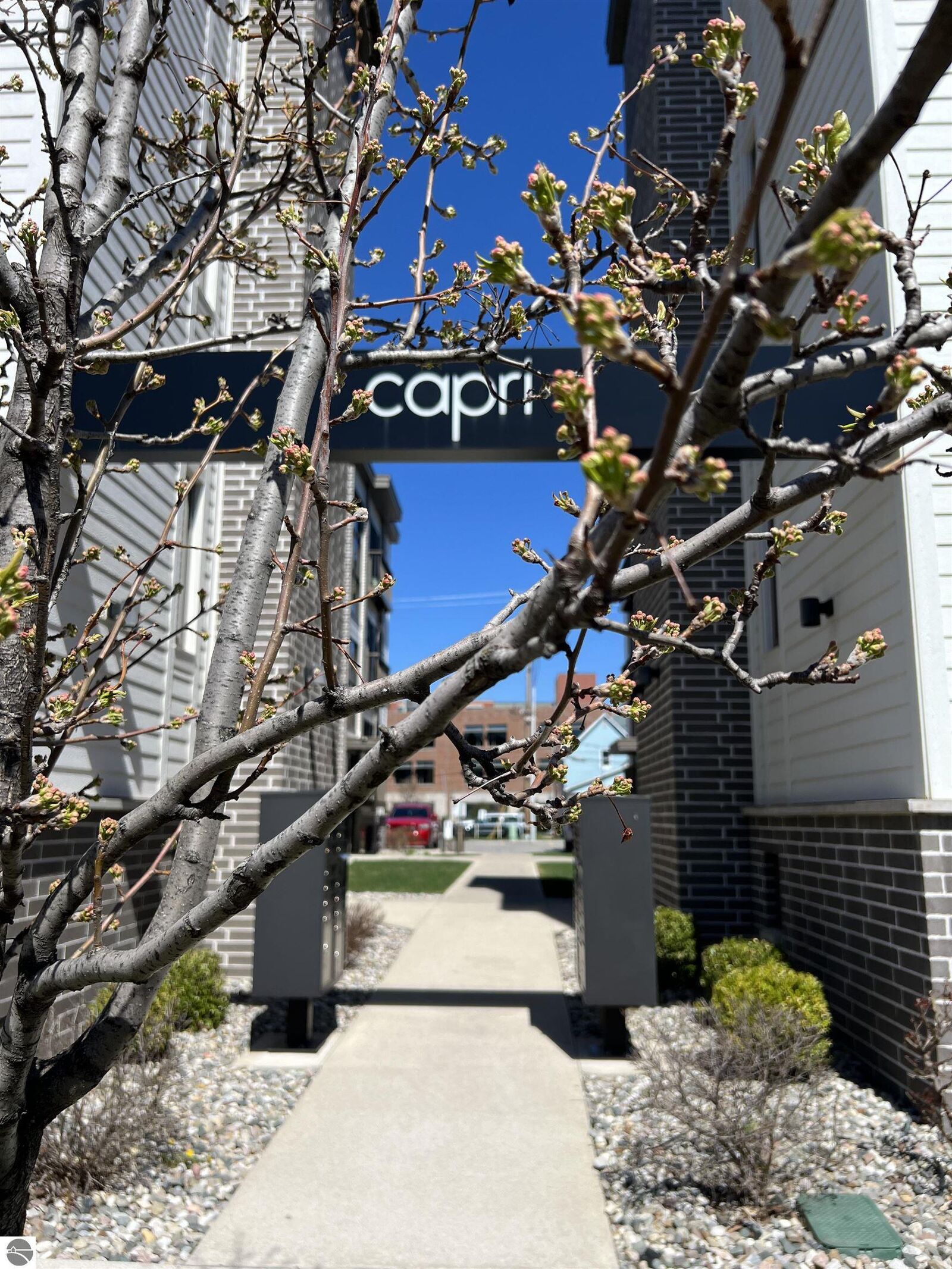 Property Photo: 135 E Eighth Street 211 MI 49684