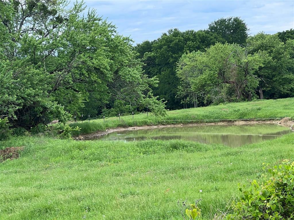 Property Photo: Tbd Tx-154 TX 75482