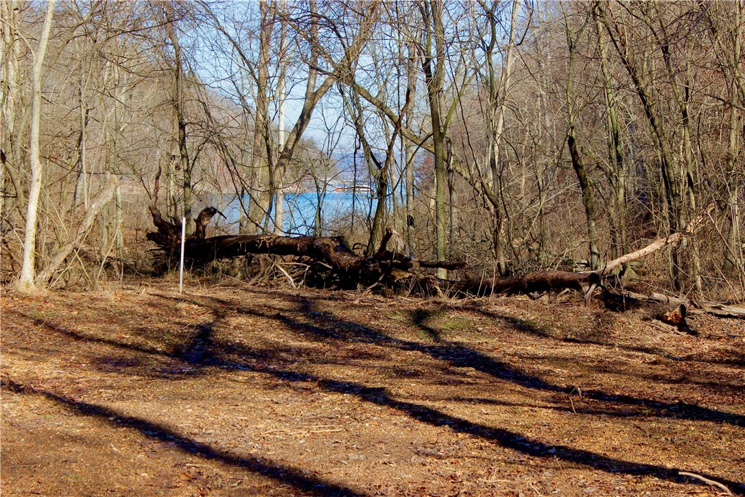 Property Photo: Ford View AR 72756