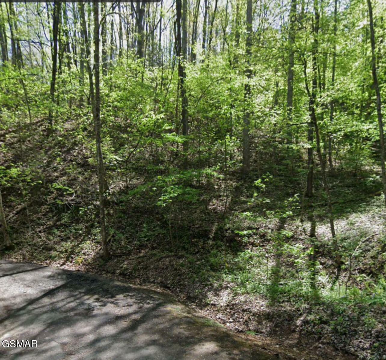 Property Photo:  Lot 331 Ridgefield Drive  TN 37876 