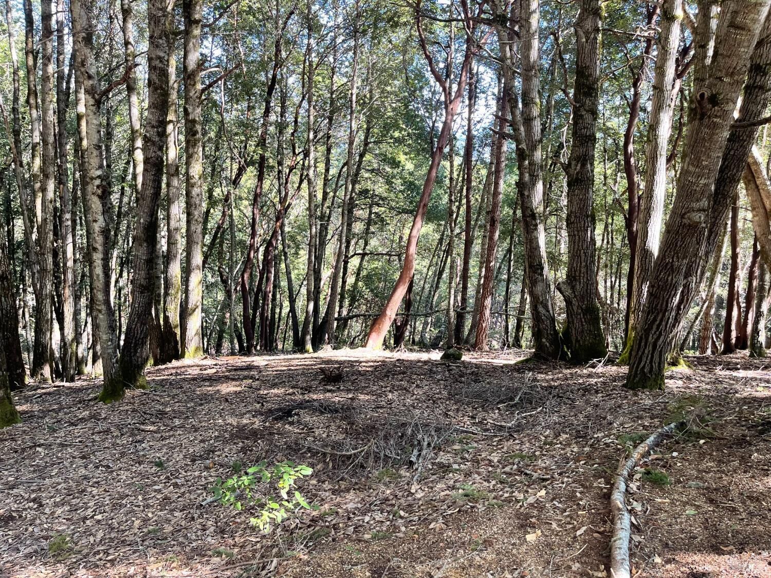 Property Photo: 24221 Buckeye Lane CA 95490