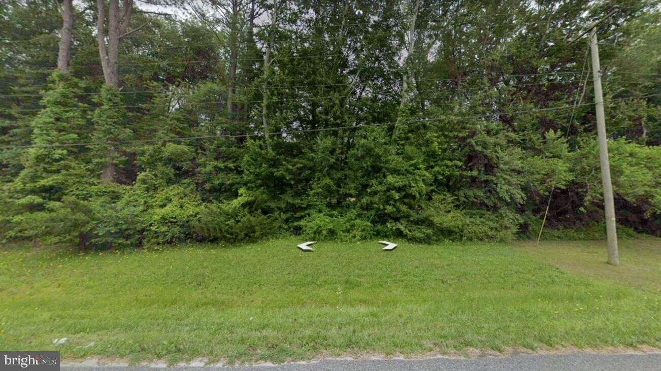 Property Photo:  0 Market Street  MD 21863 