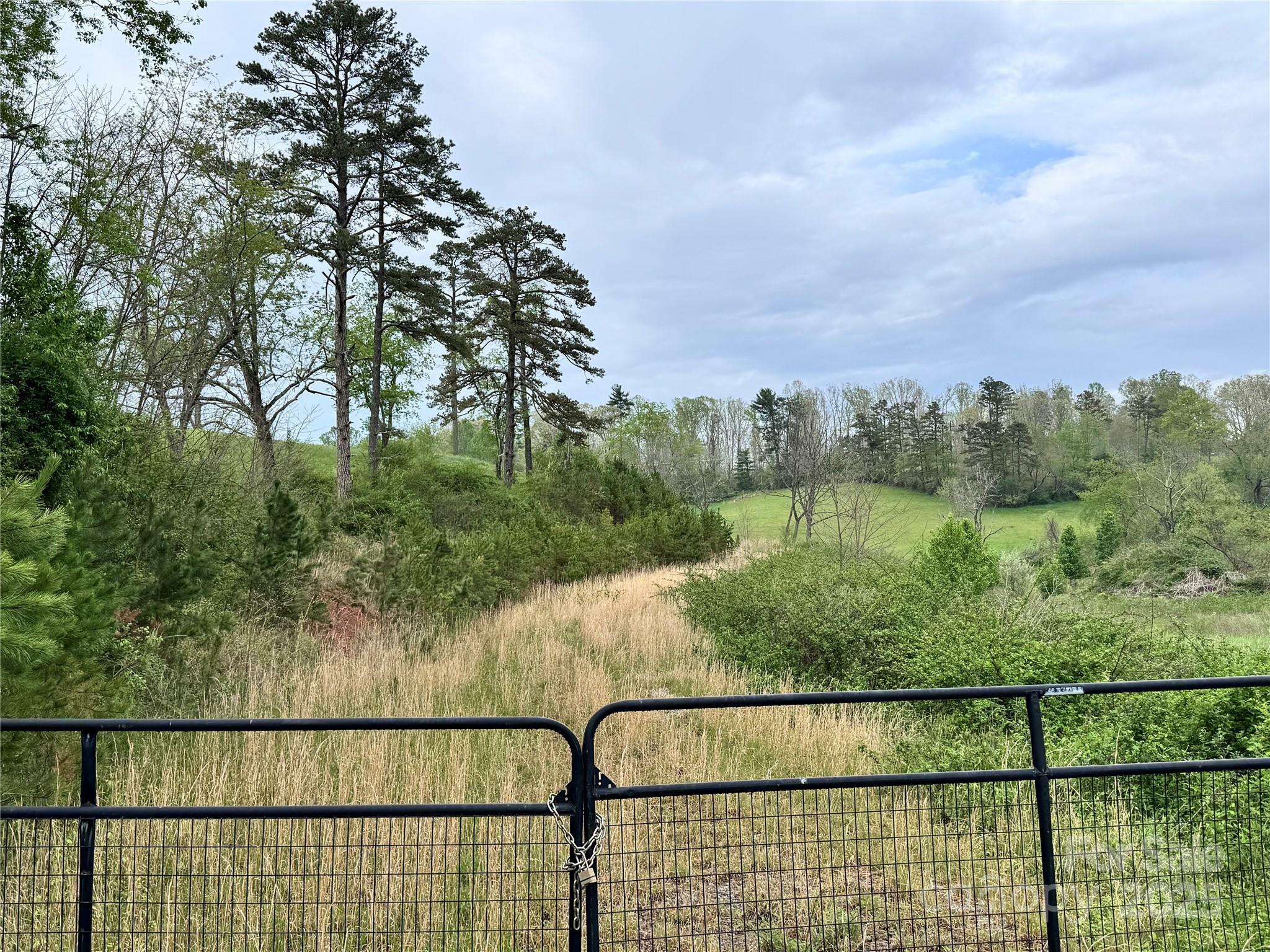 Property Photo: 38 Flourish Farm Lane NC 28806