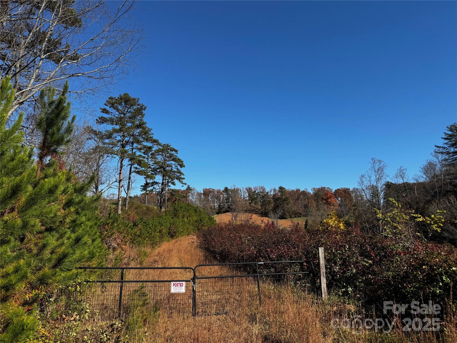 Property Photo: 38 Flourish Farm Lane NC 28806