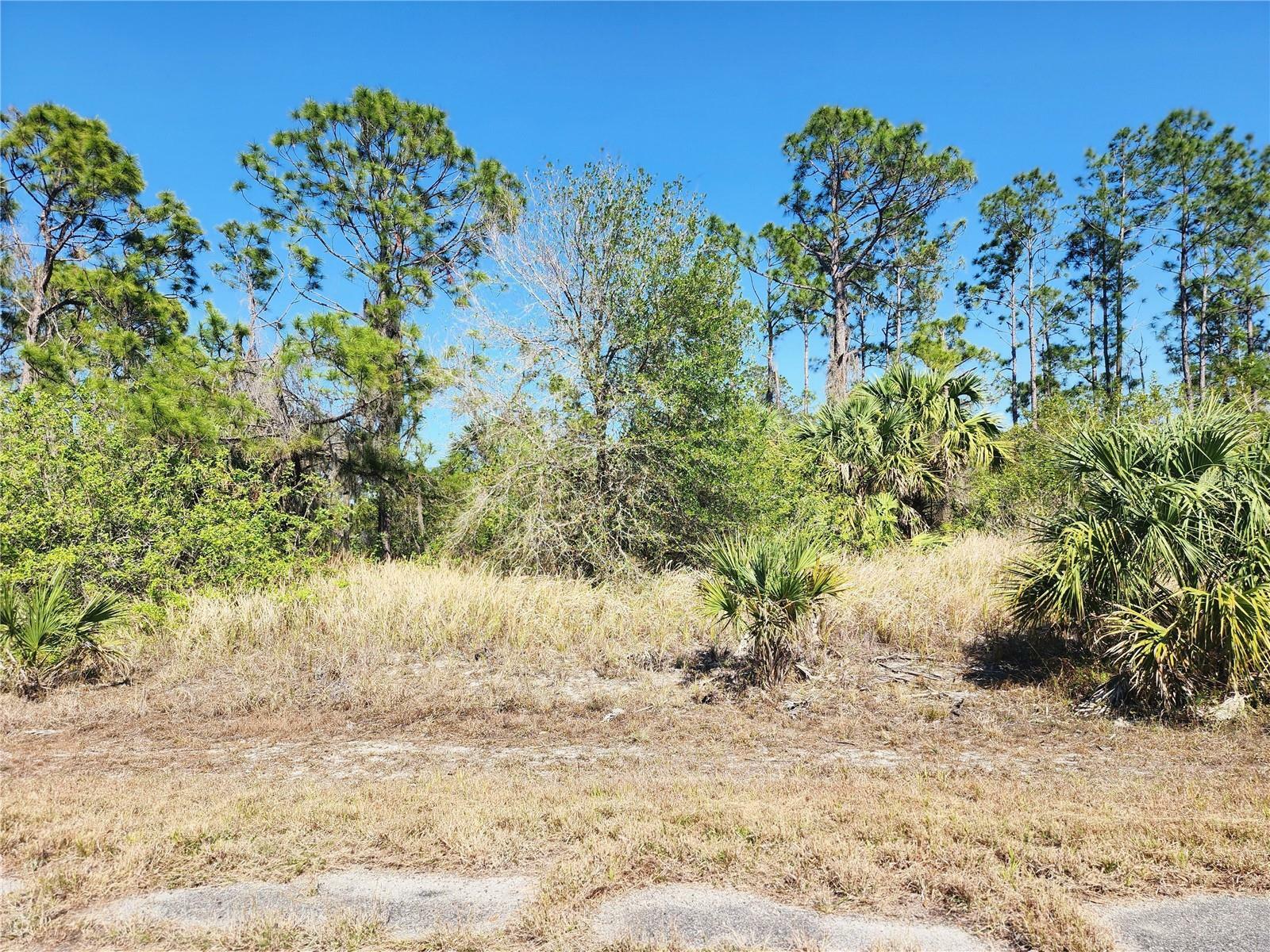 Property Photo:  Lot 14 Hamerton Road  FL 34288 