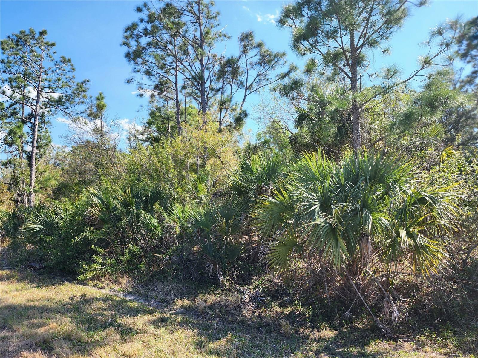 Property Photo:  Lot 7 Ironside Street  FL 34288 