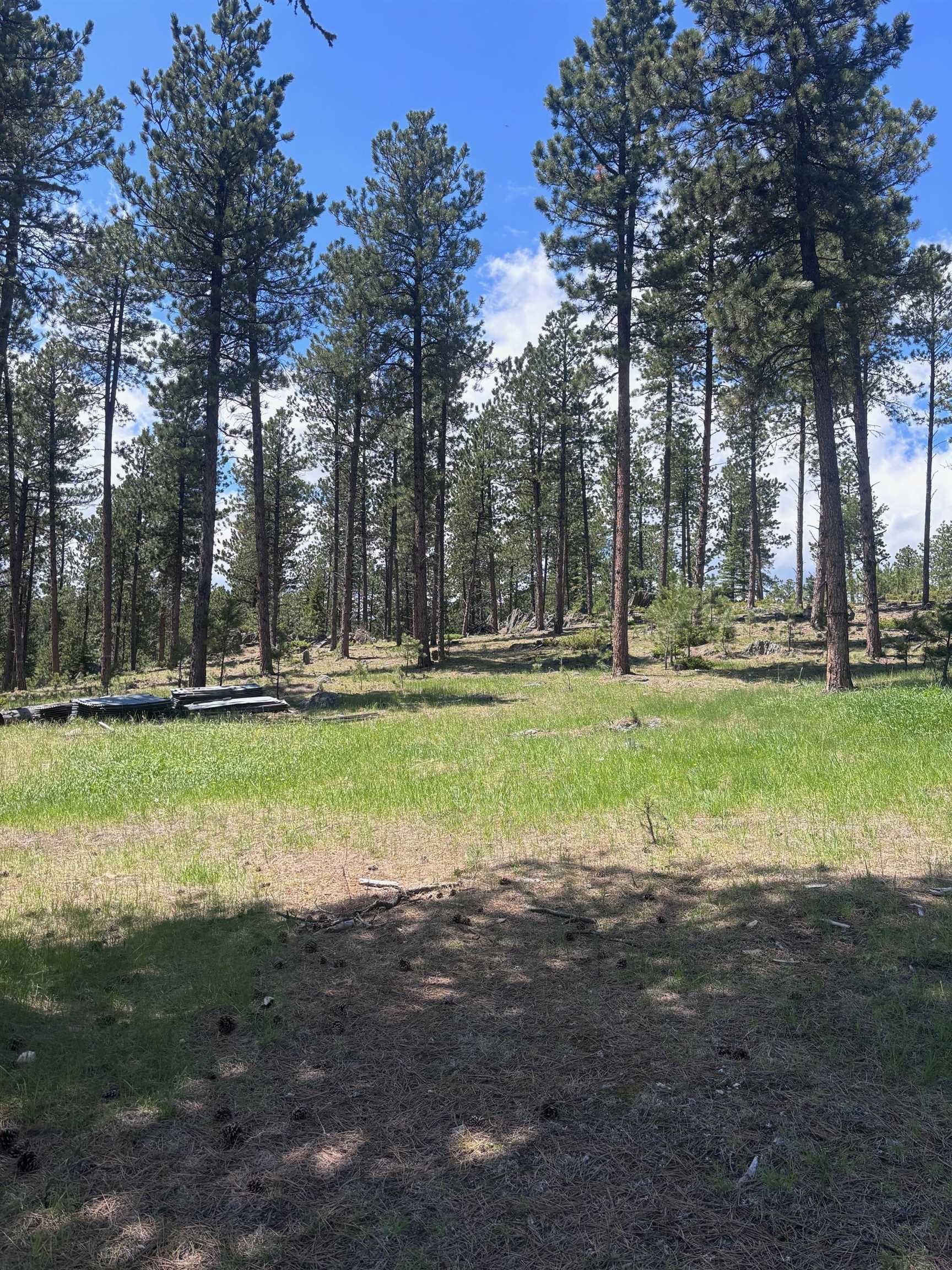 Property Photo:  12204 Nemo Road  SD 57759 