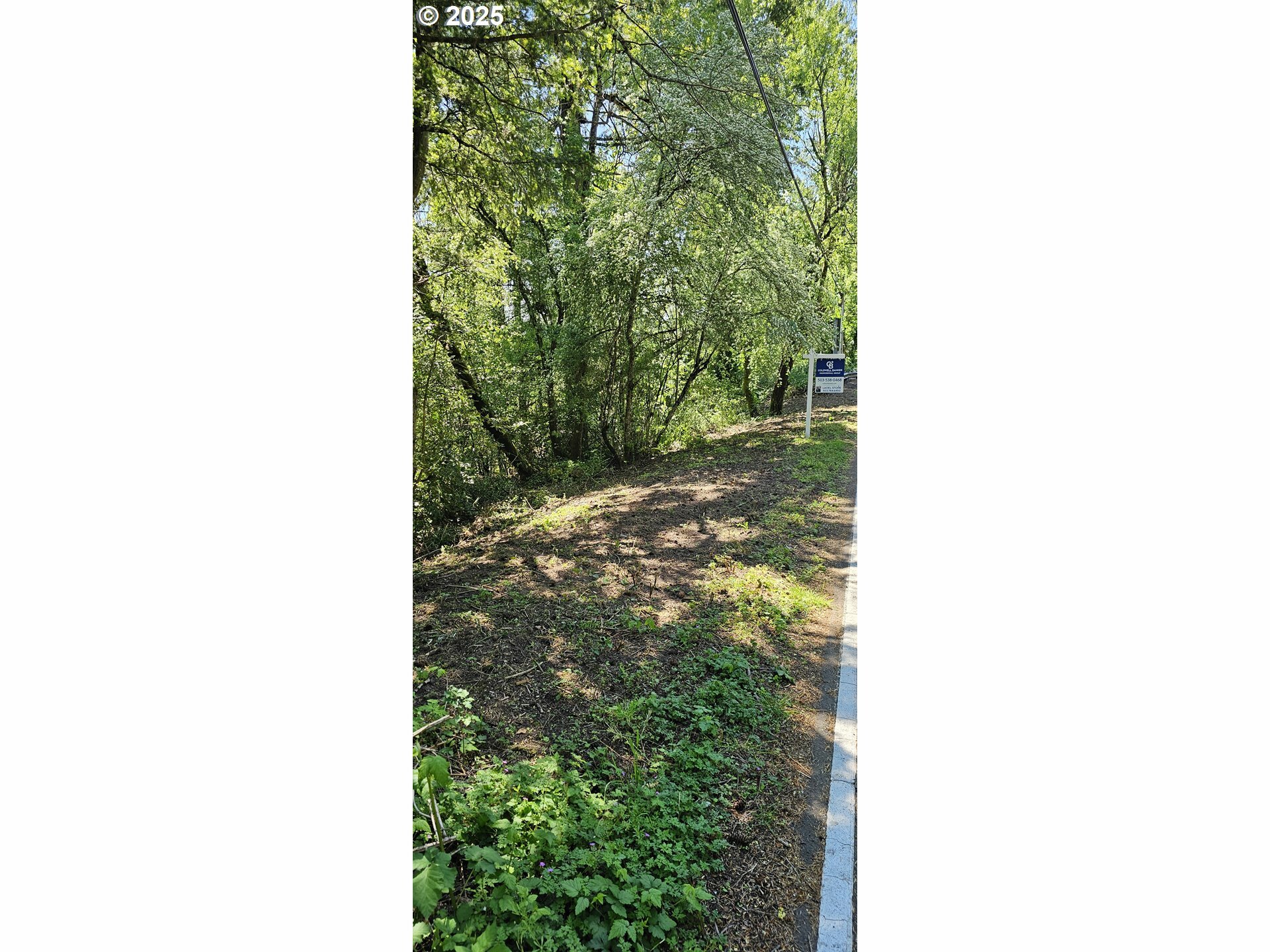 Property Photo:
