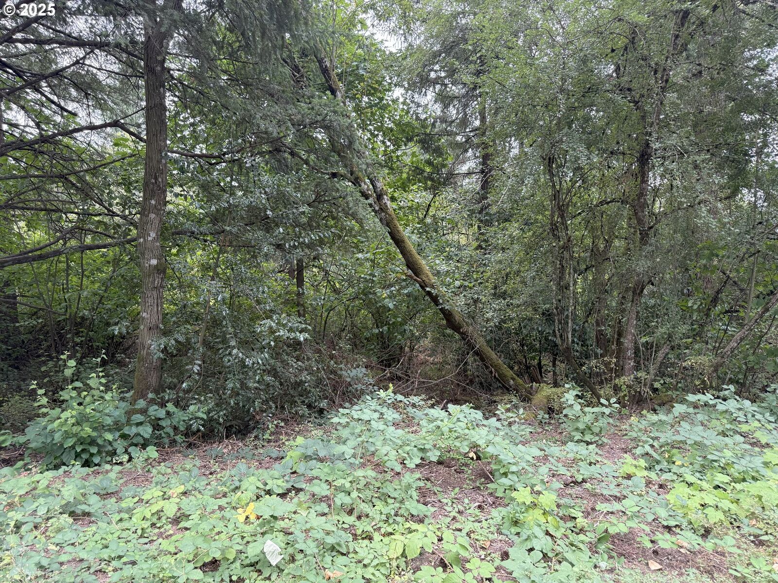 Property Photo: